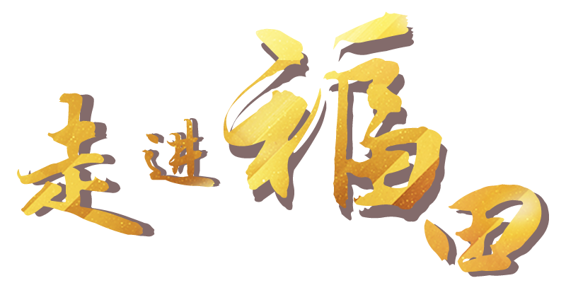 走进快三平台